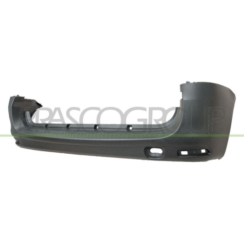 Sto&szlig;f&auml;nger Prasco DA4201051 f&uuml;r Dacia Hinten