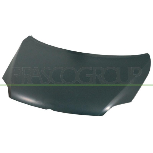 Bonnet Prasco VG0403100 for VW