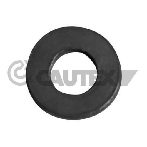 Dichtring Einspritzventil Cautex 750027 für