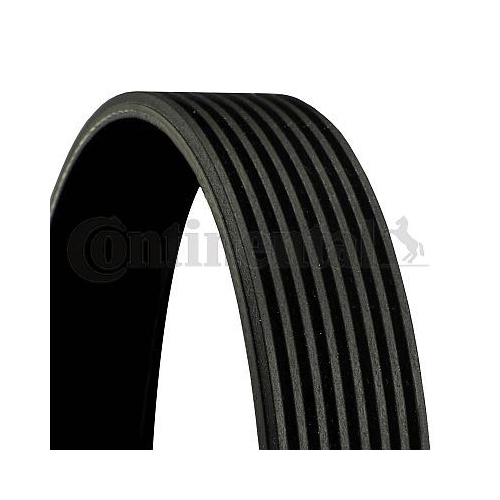 Courroie Trapézoïdale À Nervures Continental Ctam 8PK1910 pour Daf Mercedes Benz