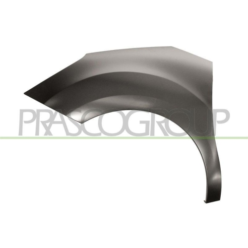 Kotfl&uuml;gel Prasco CI3243004 f&uuml;r Citro&euml;n Vorne Links