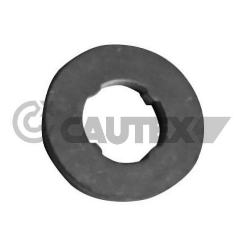 Dichtring Einspritzventil Cautex 750031 für