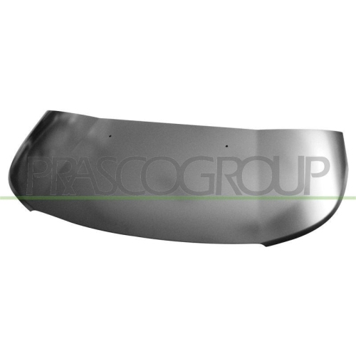 Motorhaube Prasco CI7053100 für Citroën