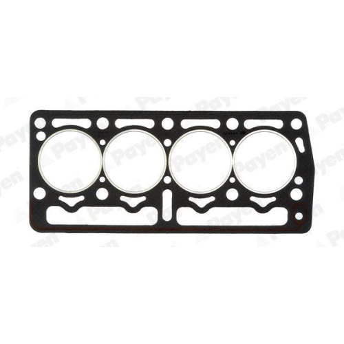 Dichtung Zylinderkopf Payen BT260 f&uuml;r Fiat