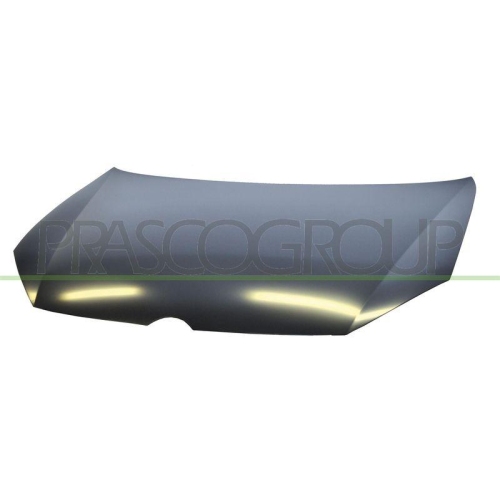 Motorhaube Prasco VG0383100 für VW