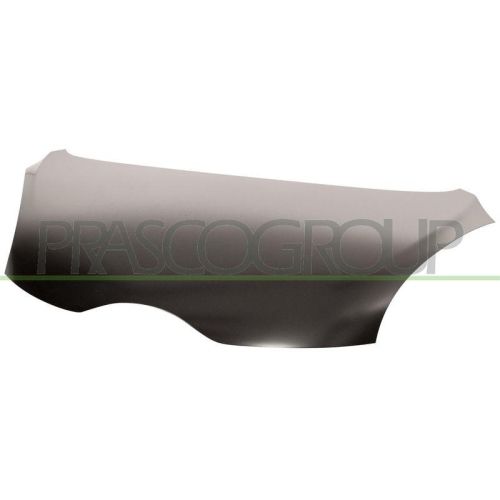 Motorhaube Prasco CI2043100 für Citroën