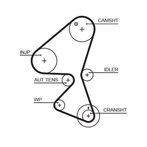 Zahnriemen Gates 5598XS Powergrip&trade; f&uuml;r Citro&euml;n Fiat Ford Mazda Peugeot Suzuki