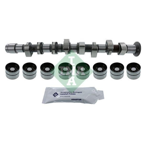 Nockenwellensatz Schaeffler Ina 428 0051 30 f&uuml;r Seat VW