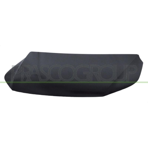 Motorhaube Prasco VG8073100 für VW