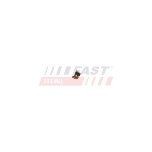 Ventilkeil Fast FT43801 f&uuml;r Citro&euml;n Fiat Iveco