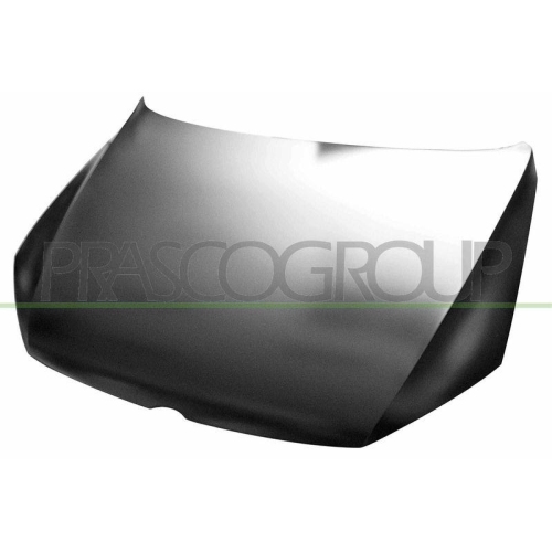 Motorhaube Prasco VG0553100 für VW