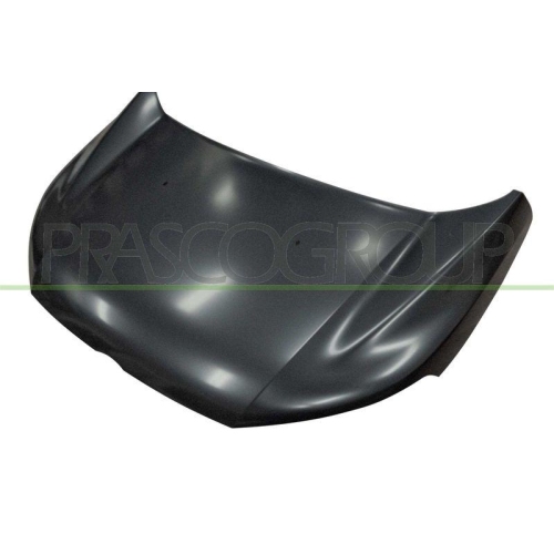 Motorhaube Prasco FD9363100 für Ford