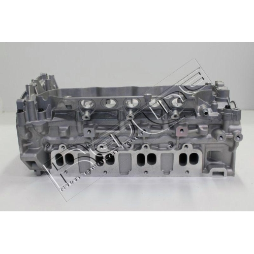 Zylinderkopf Red-line 21NI033 f&uuml;r Opel Renault Vauxhall