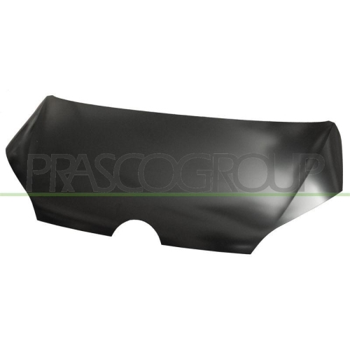 Bonnet Prasco VG2013100 for VW