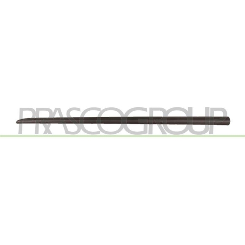 Zier /schutzleiste T&uuml;r Prasco FT3421404 f&uuml;r Fiat Vorne Links