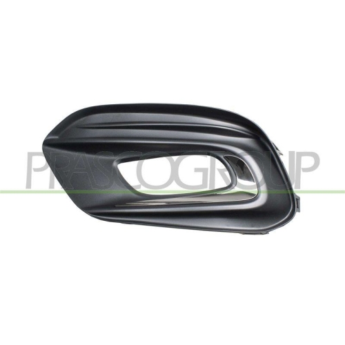 L&uuml;ftungsgitter Sto&szlig;f&auml;nger Prasco FT4482134 f&uuml;r Fiat Vorne Links