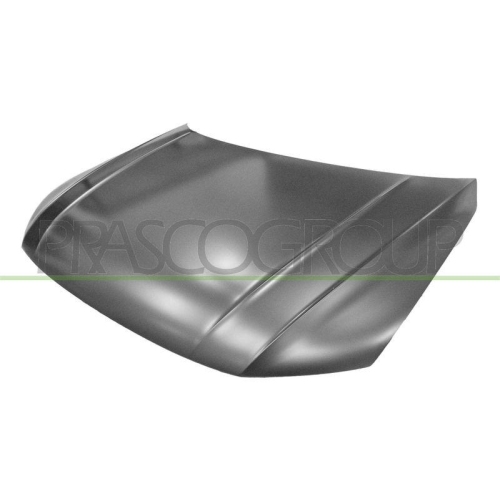 Bonnet Prasco VG8103100 for VW