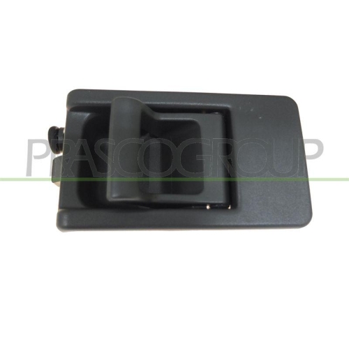 T&uuml;rgriff Innenausstattung Prasco FT9208501 f&uuml;r Citro&euml;n Fiat Hinten Rechts