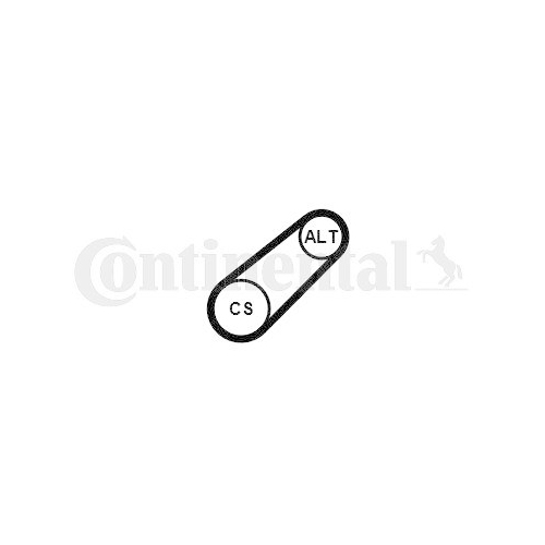 Keilrippenriemen Continental Ctam 6PK799ELAST f&uuml;r Audi Seat Skoda VW