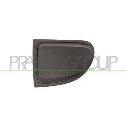 Zier /schutzleiste K&uuml;hlergitter Prasco FT0602116 f&uuml;r Fiat Vorne Links