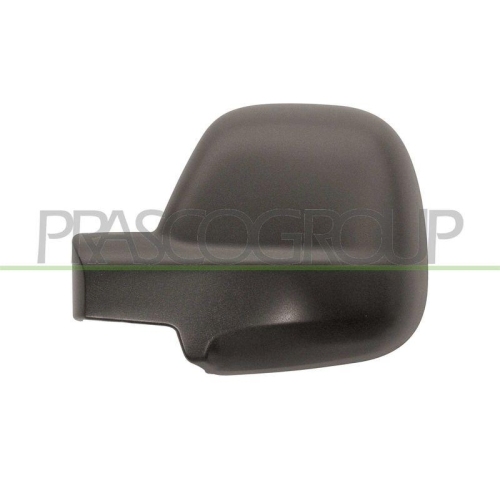 Abdeckung Au&szlig;enspiegel Prasco PG9107404 f&uuml;r Citro&euml;n Peugeot Links