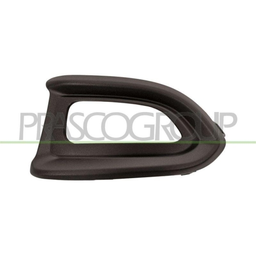 Zier /schutzleiste K&uuml;hlergitter Prasco FT0602134 f&uuml;r Fiat Vorne Links