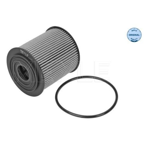 &Ouml;lfilter Meyle 3000000001 Meyle-original: True To Oe. f&uuml;r Chrysler Fiat Jeep