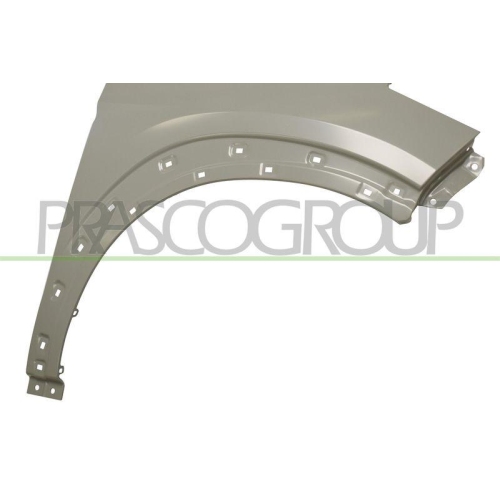 Kotfl&uuml;gel Prasco HN8063023 f&uuml;r Hyundai Vorne Rechts