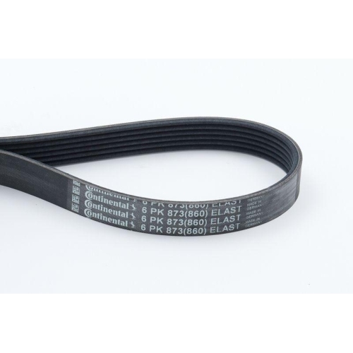 Keilrippenriemen Continental Ctam 6PK873ELAST f&uuml;r Citro&euml;n Fiat Ford Peugeot