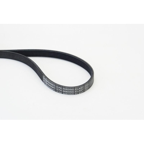 V Ribbed Belt Continental Ctam 5PK868ELAST for Ford Volvo