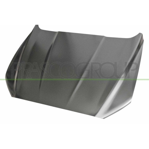 Motorhaube Prasco FD1143100 für Ford