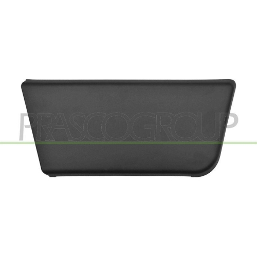 Zier /schutzleiste T&uuml;r Prasco FT9301403 f&uuml;r Citro&euml;n Fiat Peugeot Vorne Rechts