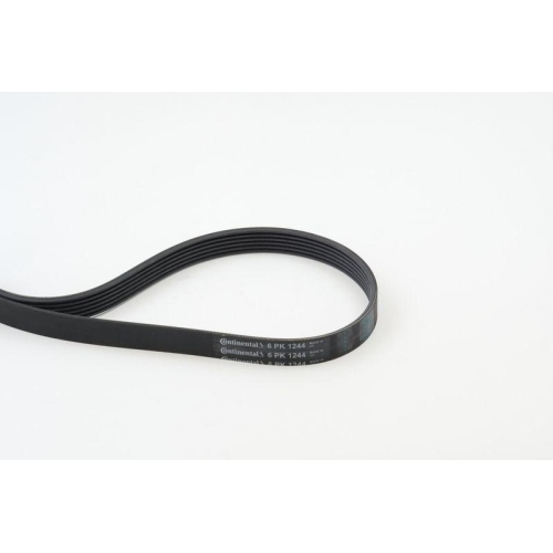 Keilrippenriemen Continental Ctam 6PK1244 für Citroën Fiat Ford Opel Peugeot