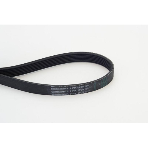 Keilrippenriemen Continental Ctam 7PK1705 f&uuml;r Daf Nissan Renault Hyundai Kia