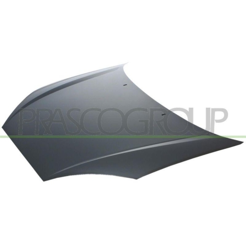 Motorhaube Prasco FD4203100 f&uuml;r Ford