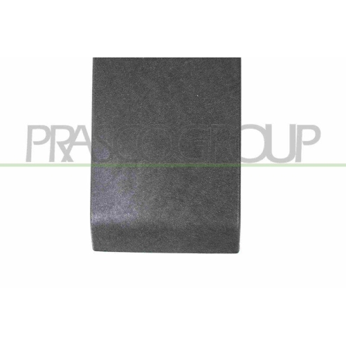 Zier /schutzleiste Seitenwand Prasco RN9541415 f&uuml;r Renault B-s&auml;ule Rechts