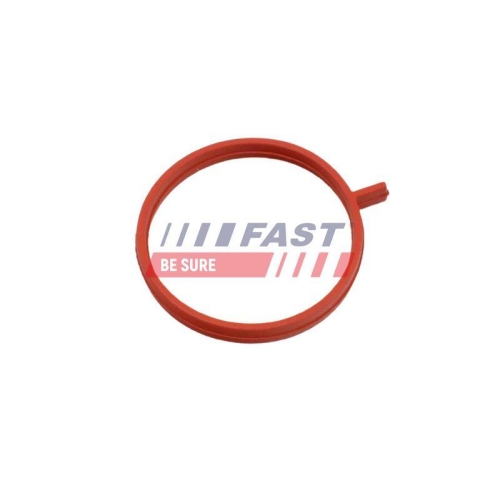 Dichtring Ladeluftschlauch Fast FT48963 f&uuml;r Fiat