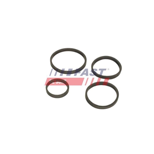Dichtring &Ouml;lk&uuml;hler (schmierung) Fast FT48949 f&uuml;r Bmw Citro&euml;n Ford Mazda Volvo