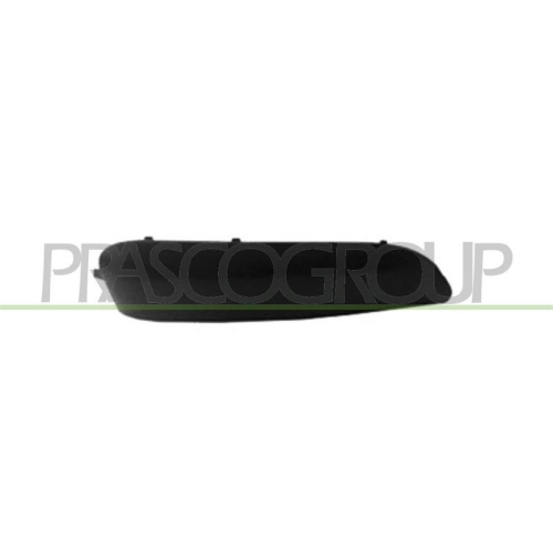 Zier /schutzleiste Sto&szlig;f&auml;nger Prasco PG4241254 f&uuml;r Peugeot Hinten Links