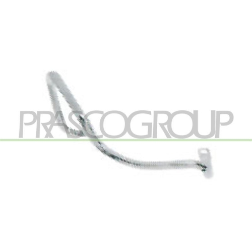 Zier /schutzleiste Sto&szlig;f&auml;nger Prasco FT0031456 f&uuml;r Fiat Hinten Links