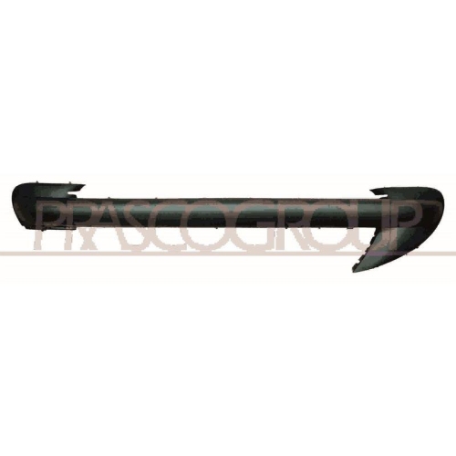 Zier /schutzleiste Sto&szlig;f&auml;nger Prasco PG0111245 f&uuml;r Peugeot Vorne