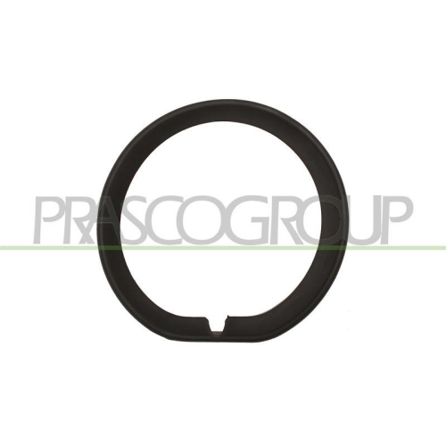 Zier /schutzleiste Sto&szlig;f&auml;nger Prasco MN7041240 f&uuml;r Mini Vorne Links