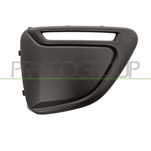 L&uuml;ftungsgitter Sto&szlig;f&auml;nger Prasco PG2062104 Premium f&uuml;r Peugeot Links