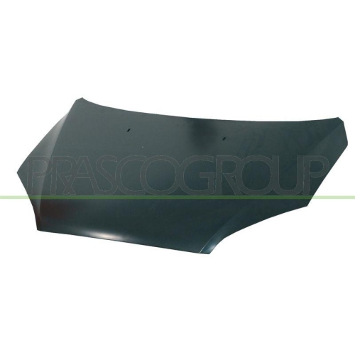 Motorhaube Prasco FD4243100 für Ford