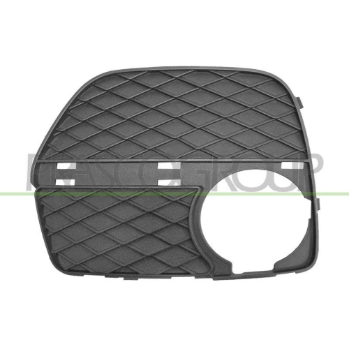 L&uuml;ftungsgitter Sto&szlig;f&auml;nger Prasco BM8402123 f&uuml;r Bmw Vorne Rechts