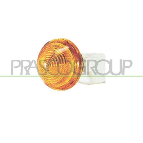 Blinkleuchte Prasco FT0194039 f&uuml;r Fiat Beidseitig Seitlicher Einbau Vorne Links