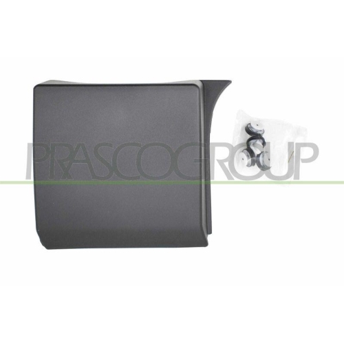 Zier /schutzleiste T&uuml;r Prasco FT9001406 f&uuml;r Fiat Nissan Opel Renault Links