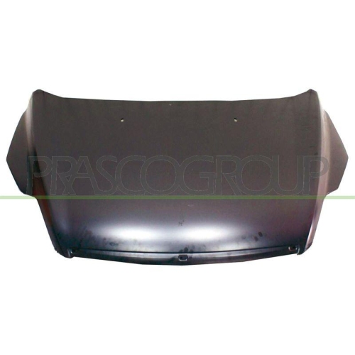 Motorhaube Prasco FD4263100 für Ford