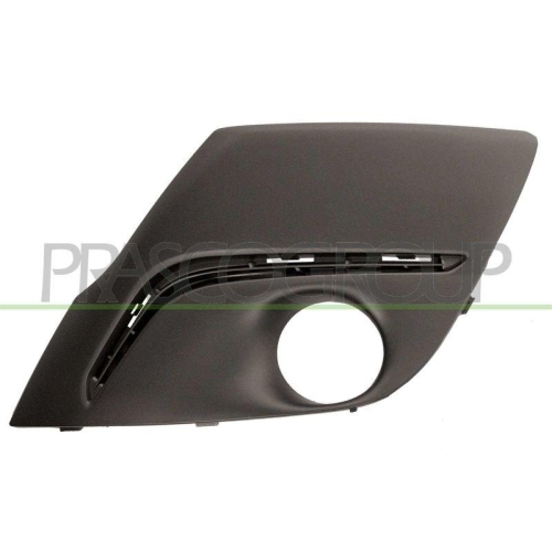 L&uuml;ftungsgitter Sto&szlig;f&auml;nger Prasco PG2042134 f&uuml;r Peugeot Links