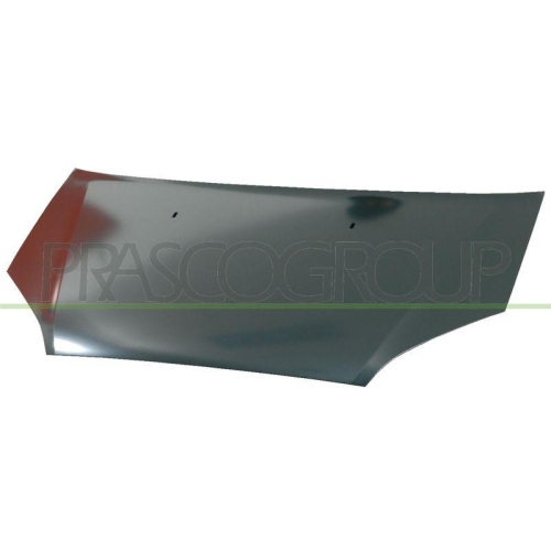 Motorhaube Prasco FD7153100 für Ford